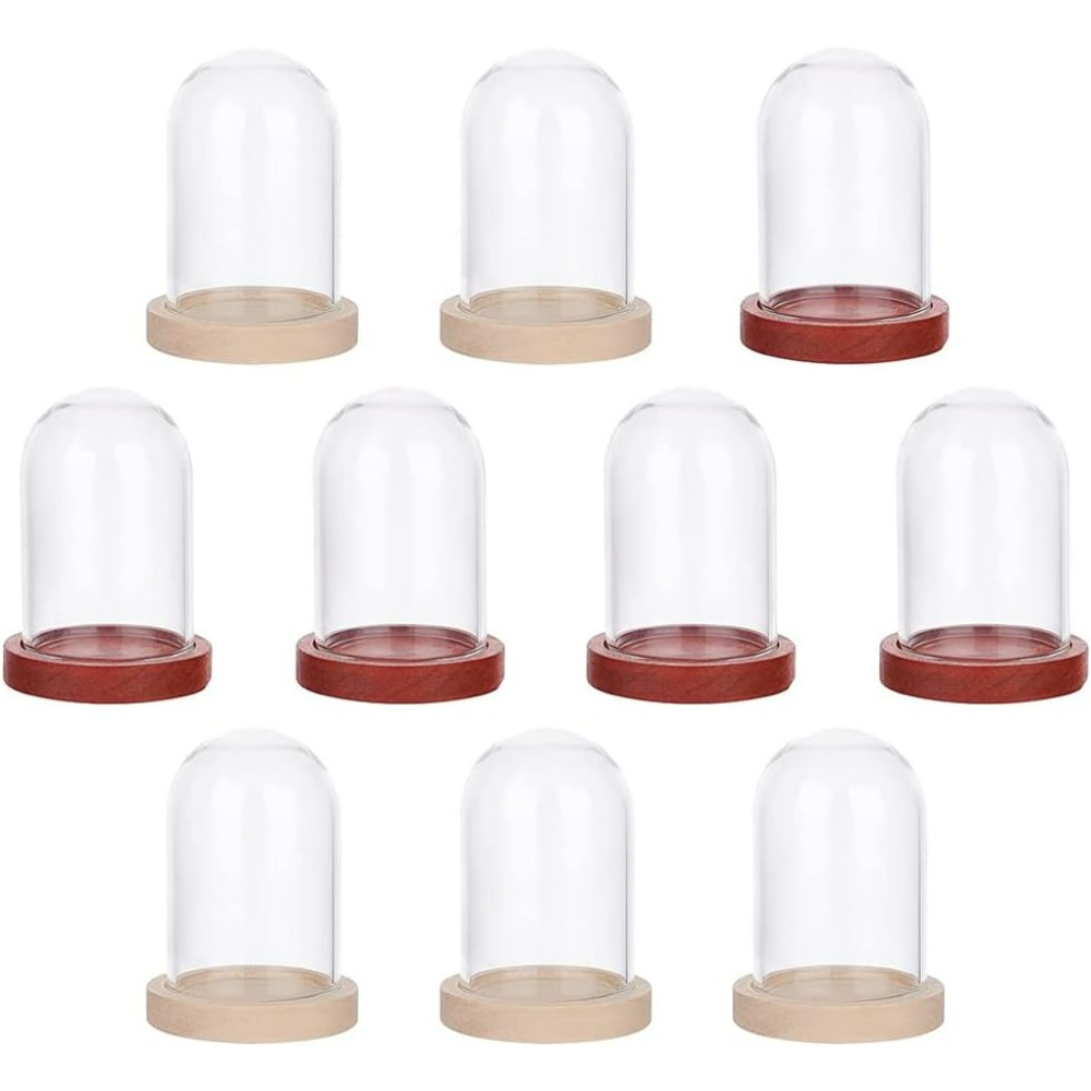 10 juegos Mini flor eterna cúp - Glass Container Set reseña y precio