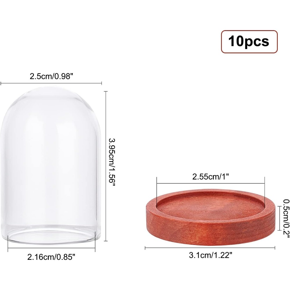 10 juegos Mini flor eterna cúp - Glass Container Set reseña y precio