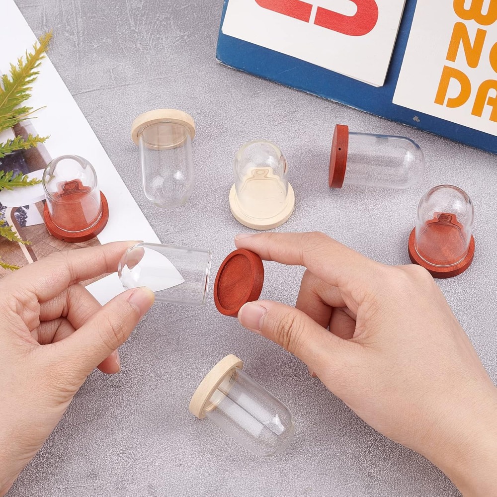 10 juegos Mini flor eterna cúp - Glass Container Set reseña y precio
